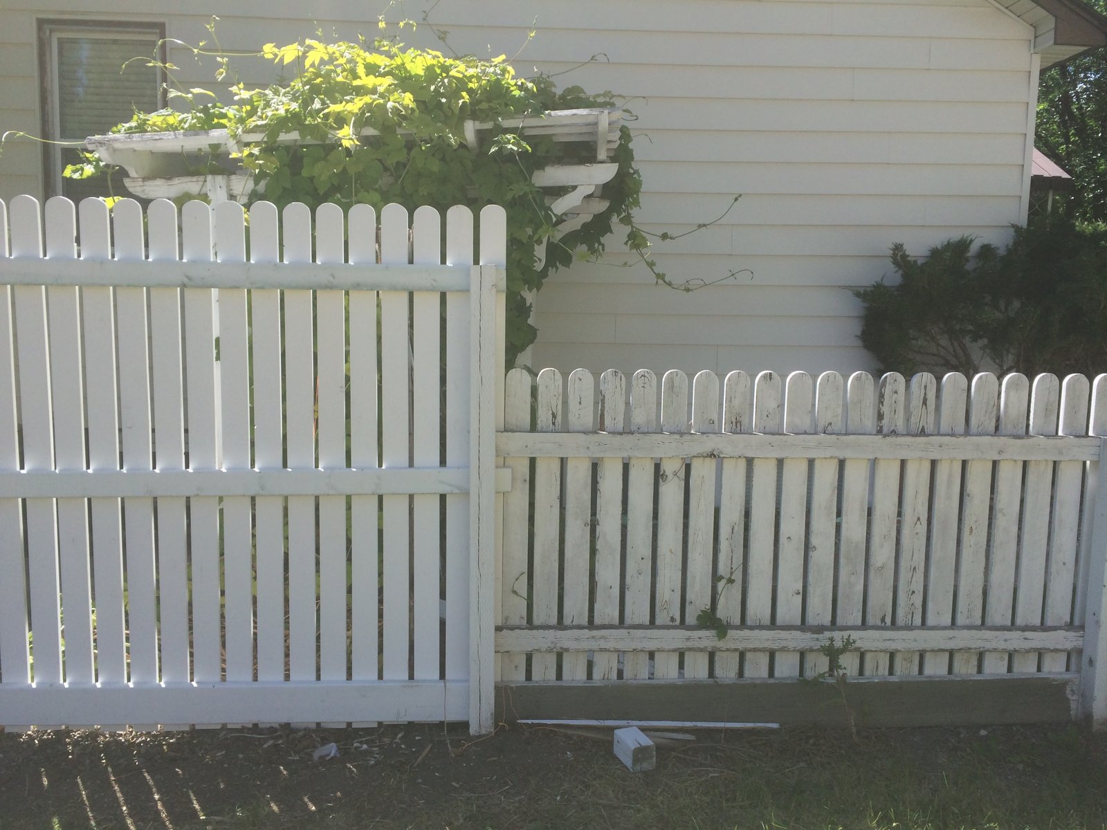 Picket Fence and Garden Gate