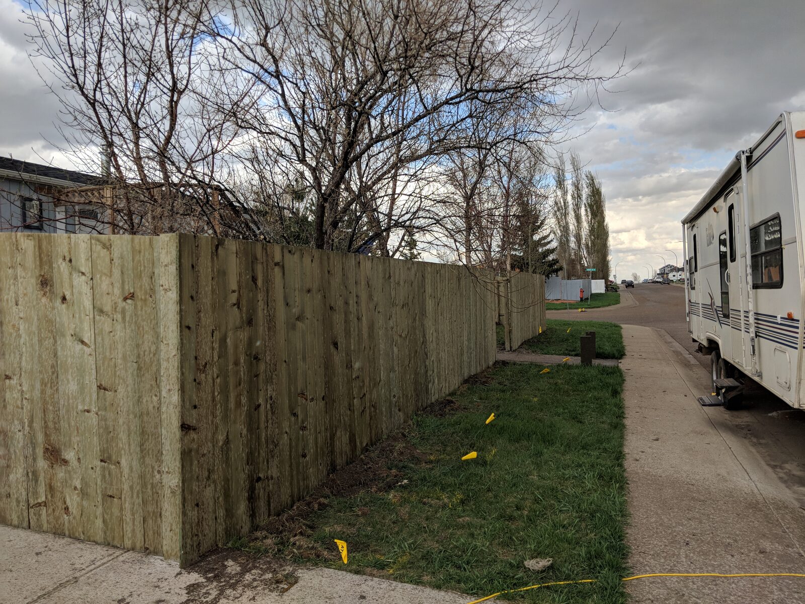 Side-Yard Privacy Run