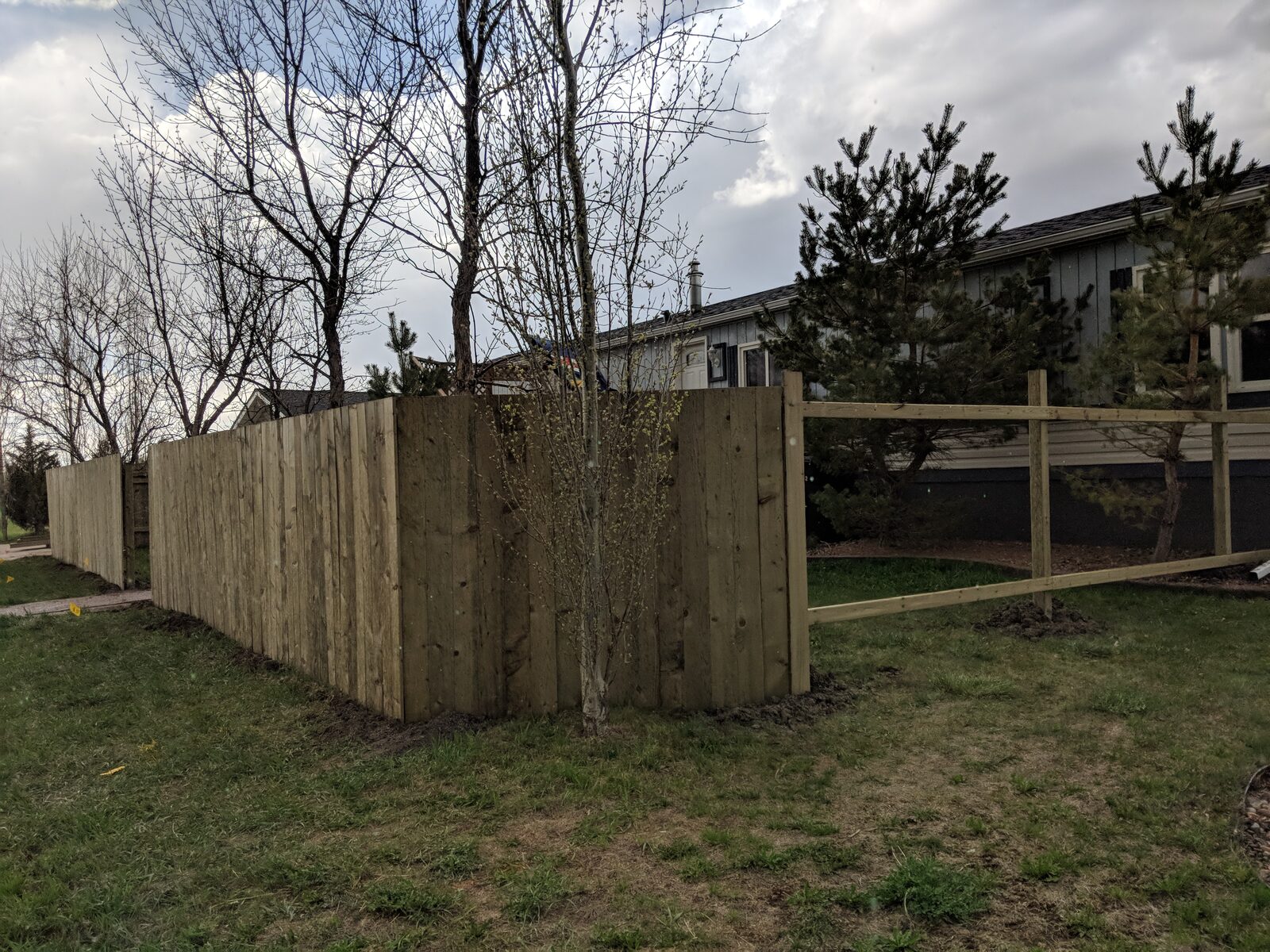 Tight Pickets, Clean Lines