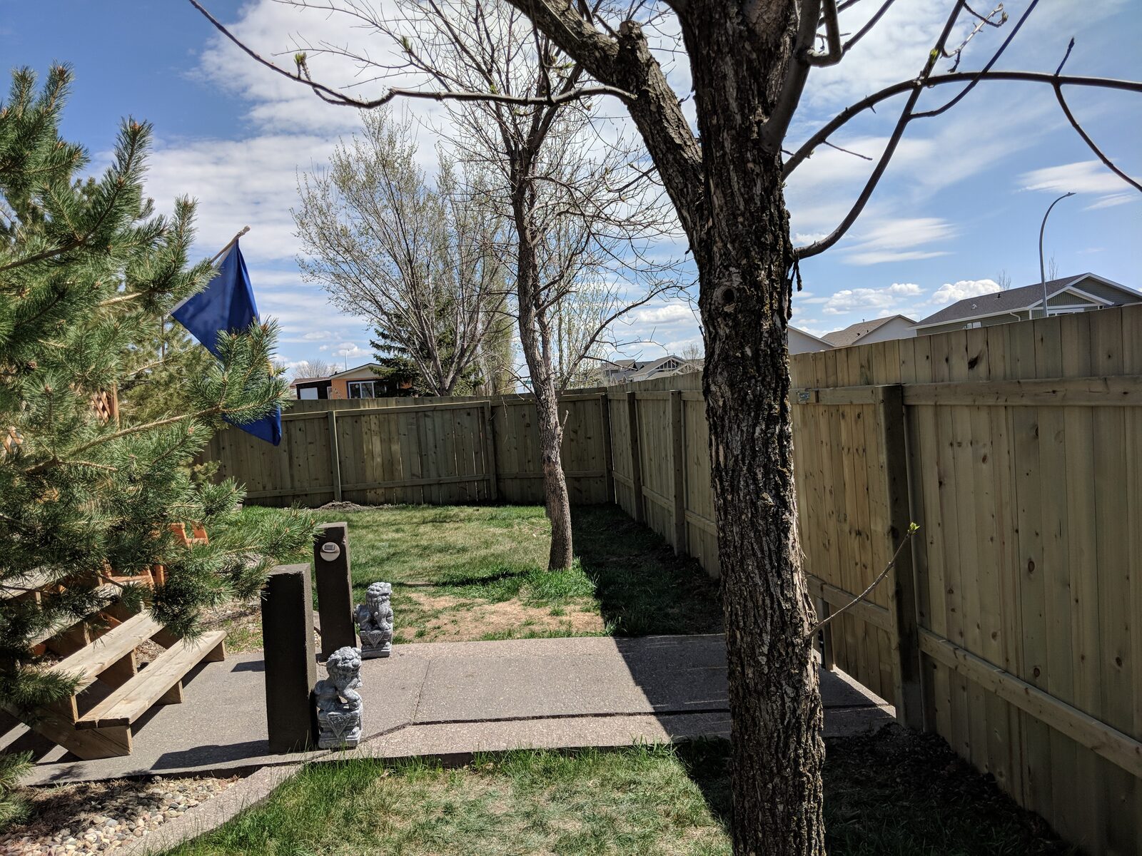 Front Yard View From the Street