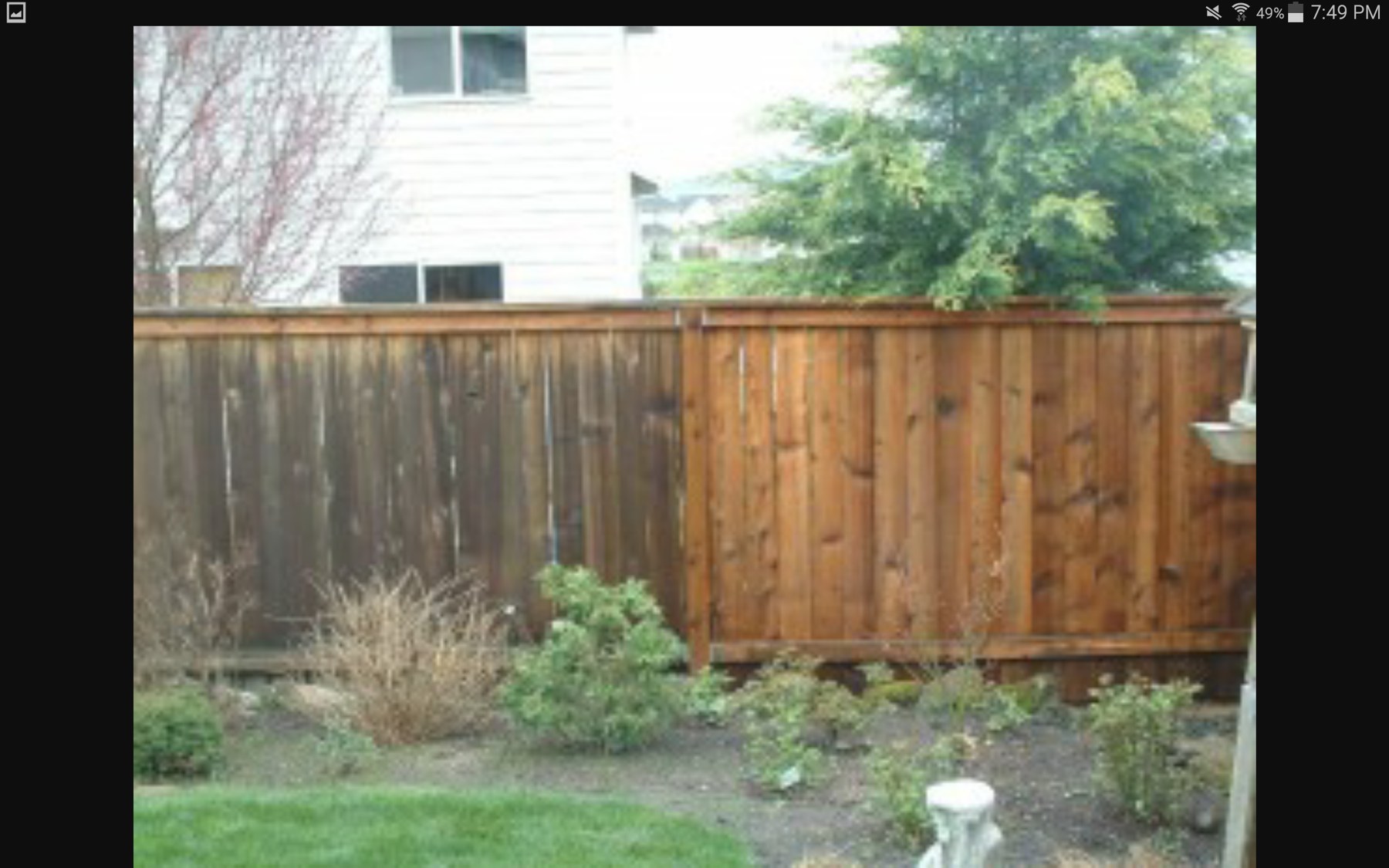 Privacy fence wash restoration