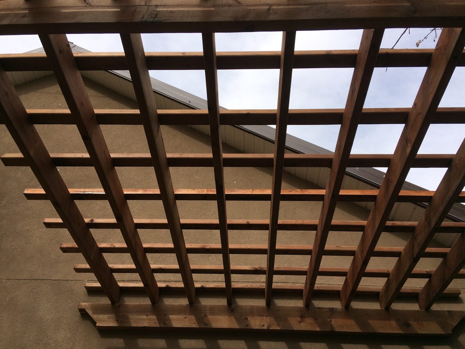 Pergola Lattice Roof — Underside View